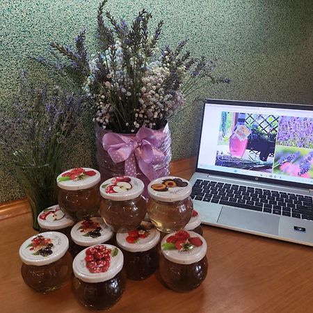 Dolistowka Apartamenty, Pole Namiotowe, Balia Z Jacuzzi, Ogrod Warzywny Dla Gosci, Plac Zabaw Dla Dzieci ゴニョンツ エクステリア 写真