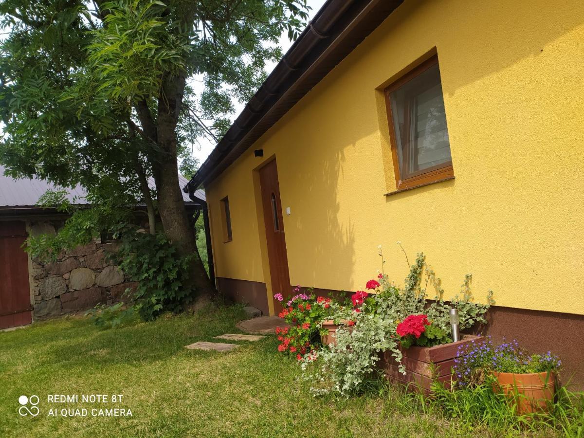 Dolistowka Apartamenty, Pole Namiotowe, Balia Z Jacuzzi, Ogrod Warzywny Dla Gosci, Plac Zabaw Dla Dzieci ゴニョンツ エクステリア 写真