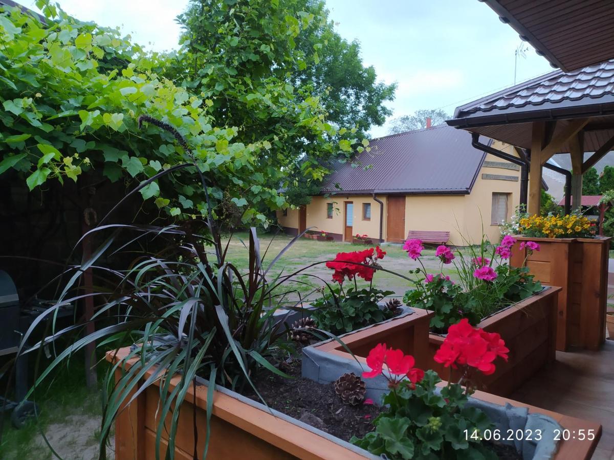 Dolistowka Apartamenty, Pole Namiotowe, Balia Z Jacuzzi, Ogrod Warzywny Dla Gosci, Plac Zabaw Dla Dzieci ゴニョンツ エクステリア 写真
